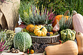 Autumn decoration with pumpkins and heather