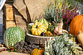 Autumn decoration with pumpkins and heather