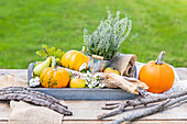 Autumn decoration - pumpkins and heather