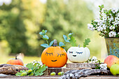 Autumn decoration - Painted pumpkins