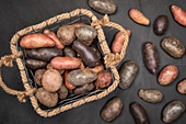 different varieties of potatoes