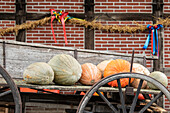 Pumpkins on a hay cart