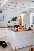 Modern kitchen with cooking island, poinsettia and dog on a light-coloured wooden floor