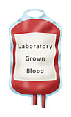 Blood bag of lab grown blood, illustration