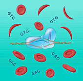 CRISPR sickle cell disease treatment, conceptual illustration