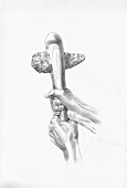 Neolithic flint axe, illustration