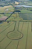 Thorn borough Henges, North Yorkshire, illustration