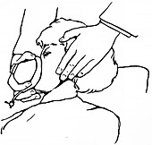 Clover's small inhaler, illustration