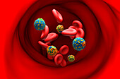 High and low density lipoproteins, illustration