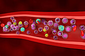 High and low density lipoproteins, illustration