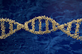 DNA molecule, illustration