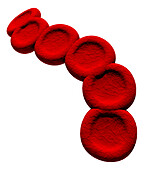 Stacked red blood cells, illustration