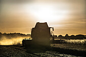 Combine harvester working in wheat field