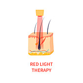 Red light therapy, conceptual illustration
