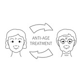 Anti-age treatment, conceptual illustration