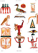 Hieroglyphs from Deir EL Bahri, illustration