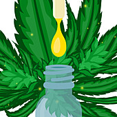 CBD oil, conceptual illustration