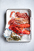 Fresh crustaceans on ice - prawns, scampi, lobster and crab
