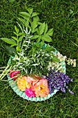 Ingredients for wild herb tea with rose petals