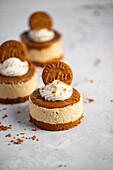 Lotuskeks-Mini-Cheesecake
