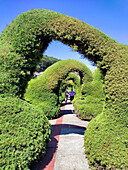 Topiary garden