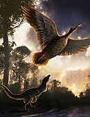 Prehistoric bird Vegavis iaai, illustration