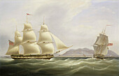 Vigilant and Harpooner offshore, illustration