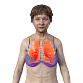 Woman with healthy lungs, illustration