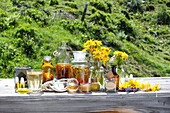 Arnica in the medicine cabinet and natural cosmetics