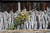 Bouquet of herbs in front of a weathered hunter's fence