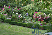 Romantisches Beet mit Stammrosen und Buchsumrandung