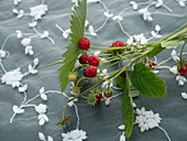 Wild strawberries on a lace tablecloth