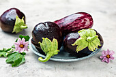 Different types of aubergine, aubergine leaves and aubergine flowers