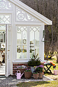 Spring floral decoration and small fir tree in front of Victorian greenhouse in the garden