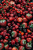 Erdbeeren, Himbeeren, Kirschen und rote Johannisbeeren