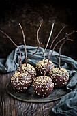 Apples on a stick with dark chocolate and hazelnuts