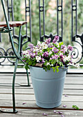 White and purple flowers in blue metal bucket on balcony with wrought iron railing