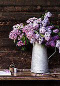 Lilac (Syringa) in galvanised jug on rustic wooden table