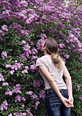 Woman enjoying the scent of blooming lilac bush (Syringa) in the garden