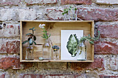 Wooden box with succulents and botanical illustration on brick wall