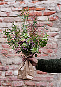 Hand holding bunch of wild flowers in brown paper in front of brick wall