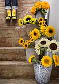 Sunflowers (Helianthus) in various vases on a staircase