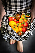 Frau hält bunte Tomaten in schwarz-weiß-karierter Schürze