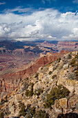 Der Little Colorado River und die Schlucht vom South Rim des Grand Canyon, Grand Canyon National Park, Arizona