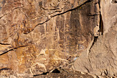 A pre-Hispanic Native American petroglyph rock art panel in Nine Mile Canyon in Utah.