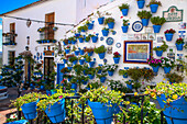 Hof voller Blumentöpfe, Dorf Iznajar, Provinz Córdoba, Andalusien, Südspanien