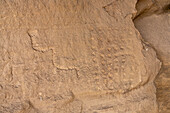 A pre-Hispanic Native American petroglyph rock art panel with a snake & dot pattern in Nine Mile Canyon in Utah.