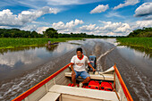 Amazonas-Fluss Expedition mit dem Boot auf dem Amazonas bei Iquitos, Loreto, Peru. Fahrt auf einem der Nebenflüsse des Amazonas nach Iquitos, ca. 40 km nahe der Stadt Indiana