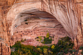 Navajo National Monument, Arizona