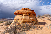 Erodierte Navajo-Sandsteinfelsen in der Nähe von South Coyote Buttes, Vermilion Cliffs National Monument, Arizona